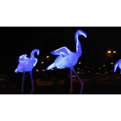 Flamingus - Flamencs Itinerants